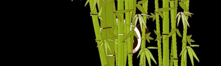 五大优质微信公众号，了解一下？